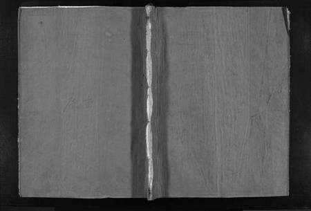 浙江董氏族谱-董氏宗谱 [不分卷].pdf电子版预览图1