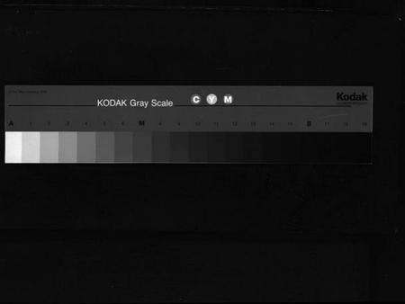 浙江董氏族谱-董氏宗谱 [卷数不明].pdf电子版缩略图