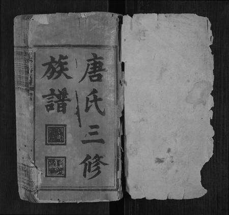 湖南唐氏族谱-唐氏三修族谱[4卷首1卷].pdf电子版预览图1