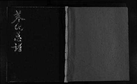 浙江董氏族谱-董氏总谱 [不分卷].pdf电子版预览图1