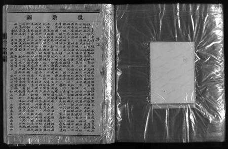 浙江董氏族谱-董氏总谱 [不分卷].pdf电子版预览图5