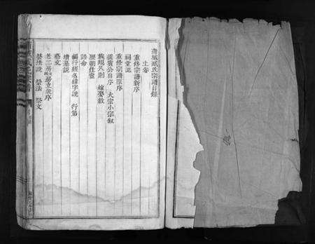 浙江臧氏族谱-蒲城臧氏宗谱 [2卷].pdf电子版预览图2