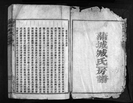 浙江臧氏族谱-蒲城臧氏宗谱 [6卷].pdf电子版预览图2