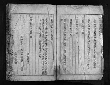 浙江臧氏族谱-蒲城臧氏宗谱 [不分卷].pdf电子版预览图4