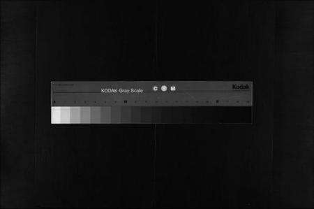 浙江朱氏族谱-蒲墟朱氏宗谱.pdf电子版缩略图