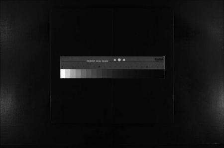 浙江张氏族谱-蒲岐城郭张氏宗谱 [2卷].pdf电子版缩略图