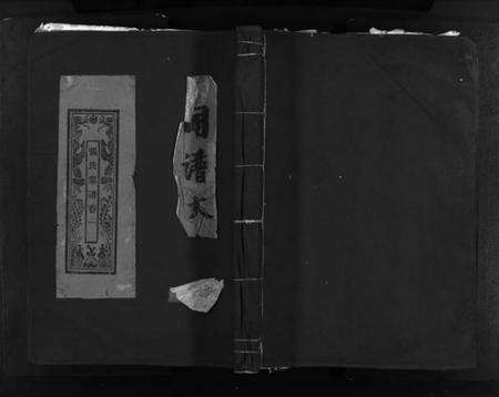 浙江张氏族谱-蒲岐城郭张氏宗谱 [残卷].pdf电子版预览图1