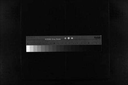 浙江王氏族谱-蒲岐王氏宗谱 [5卷].pdf电子版缩略图