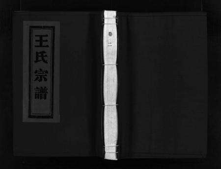 浙江王氏族谱-蒲岐王氏宗谱 [5卷].pdf电子版预览图1