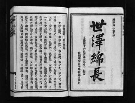 浙江王氏族谱-蒲岐王氏宗谱 [5卷].pdf电子版预览图3