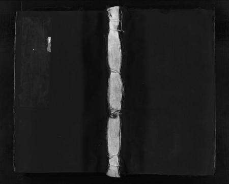 浙江王氏族谱-蒲岐王氏宗谱 [不分卷].pdf电子版预览图1