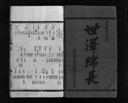 浙江王氏族谱-蒲岐王氏宗谱 [不分卷].pdf电子版预览图2