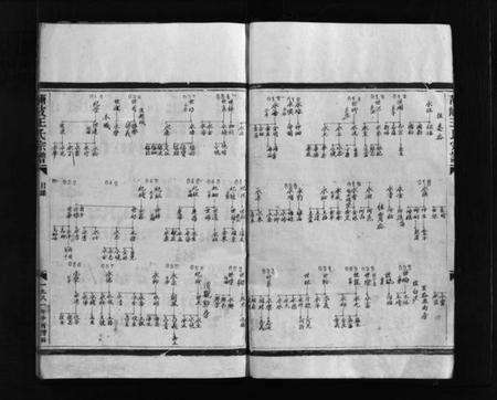 浙江王氏族谱-蒲岐王氏宗谱 [不分卷].pdf电子版预览图3