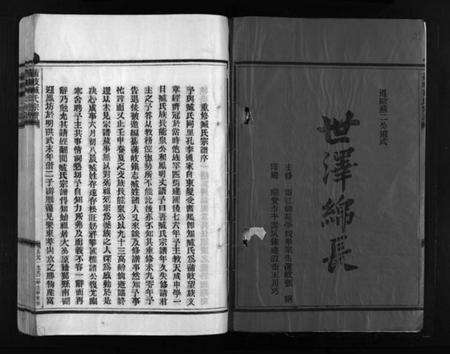 浙江臧氏族谱-蒲岐臧氏宗谱 [4卷].pdf电子版预览图3