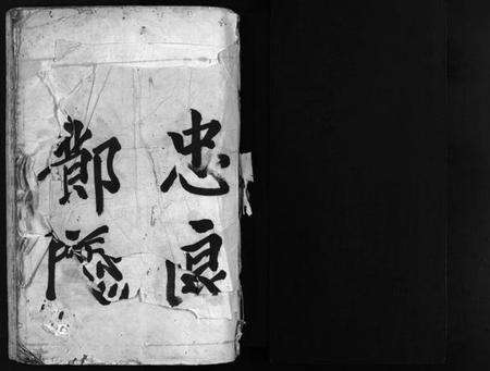 浙江夏氏族谱-蒲川夏氏宗谱 [不分卷].pdf电子版预览图2