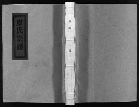 浙江卢氏族谱-蒲川卢氏宗谱 [2卷].pdf电子版预览图1