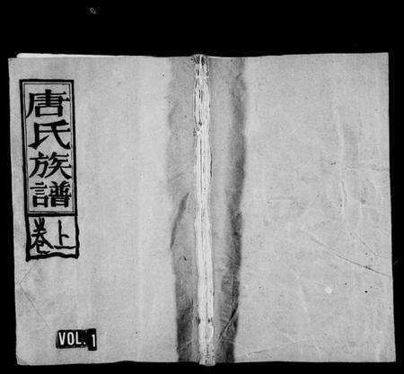 湖南唐氏族谱-唐氏族谱 [残卷].pdf电子版预览图1