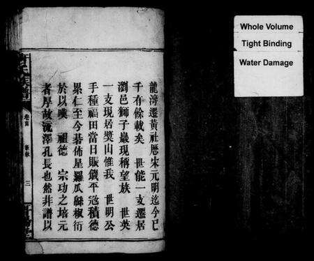 湖南唐氏族谱-唐氏族谱 [残卷].pdf电子版预览图2