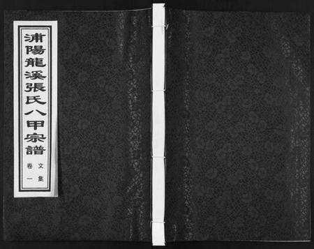 浙江张氏族谱-蒲阳龙溪张氏八甲宗谱[25卷].pdf电子版缩略图