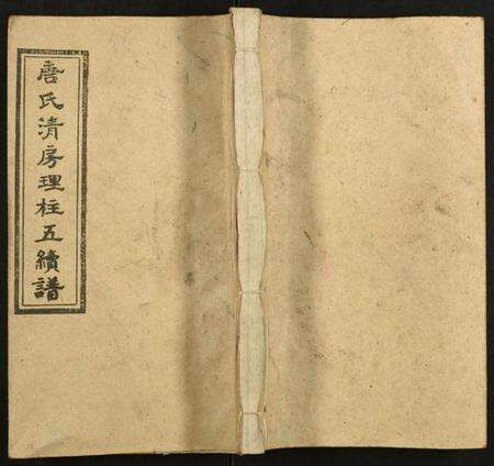 湖南唐氏族谱-唐氏清房理柱五续谱.pdf电子版缩略图