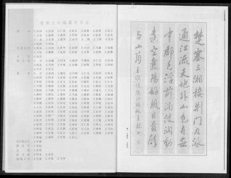 浙江王氏族谱-苍南王氏.pdf电子版预览图3