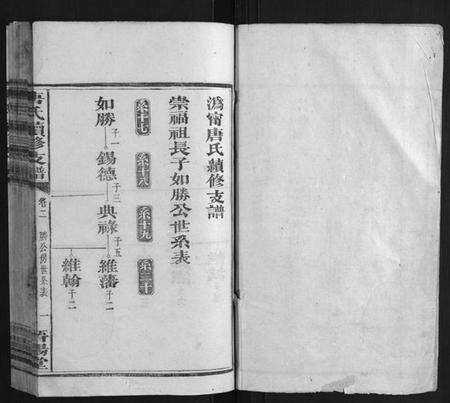 湖南唐氏族谱-唐氏续修支谱.pdf电子版预览图1