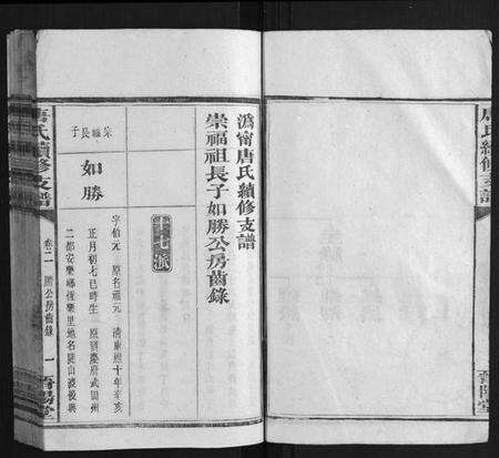 湖南唐氏族谱-唐氏续修支谱.pdf电子版预览图3