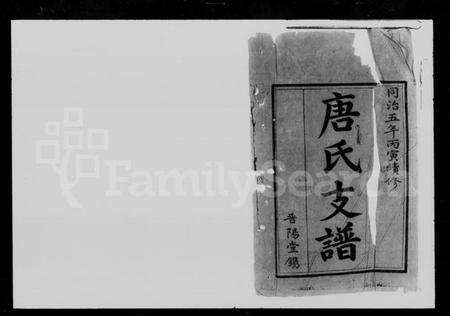 湖南唐氏族谱-唐氏续修支谱 [4卷].pdf电子版预览图2