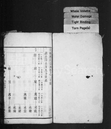 中国蒋氏族谱-十乔蒋氏宗谱.pdf电子版预览图1