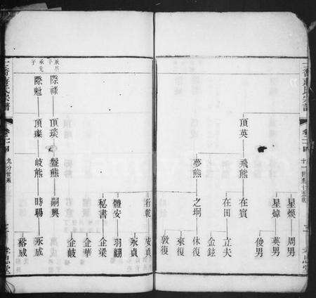 中国蒋氏族谱-十乔蒋氏宗谱.pdf电子版预览图3