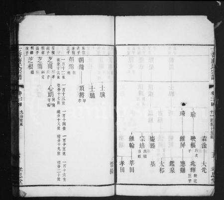 中国蒋氏族谱-十乔蒋氏宗谱.pdf电子版预览图5