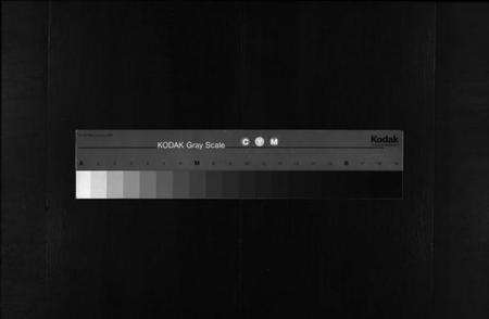 浙江虞氏族谱-莲溪虞氏宗谱 [6卷].pdf电子版缩略图