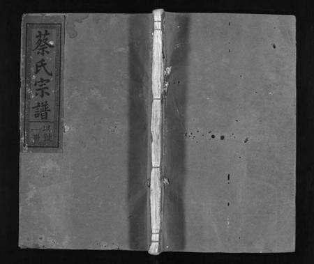 浙江蔡氏族谱-蔡氏宗谱 [20卷].pdf电子版预览图1