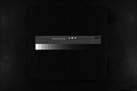 浙江蔡氏族谱-蔡氏宗谱 [2卷].pdf电子版缩略图