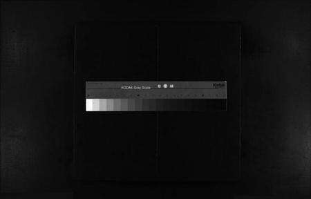 浙江蔡氏族谱-蔡氏宗谱 [不分卷].pdf电子版缩略图