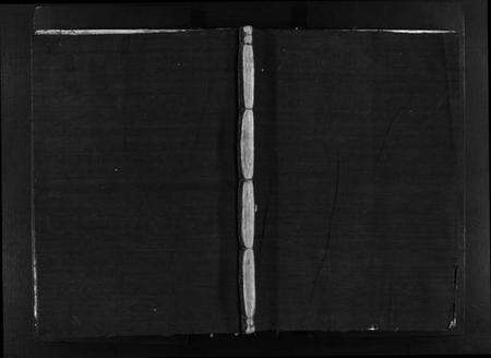 浙江蔡氏族谱-蔡氏宗谱 [卷数不详].pdf电子版预览图1