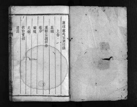 浙江卢氏族谱-蒋塔卢氏宗谱 [3卷].pdf电子版预览图2