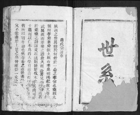 浙江蒋氏族谱-蒋氏宗谱[不分卷].pdf电子版预览图1