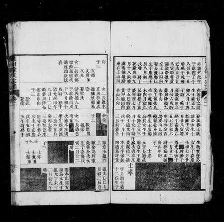 浙江徐氏族谱-蕉川徐氏宗谱 [2卷,首1卷].pdf电子版预览图2