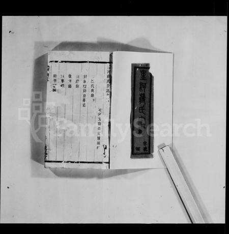 江苏蒋氏族谱-孟河蒋氏宗谱 [残卷].pdf电子版预览图2