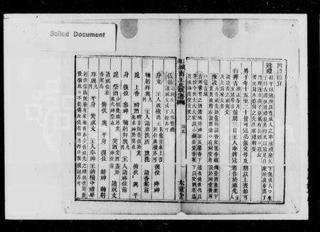 湖南王氏族谱-上湘城南王氏族谱 [残卷].pdf电子版预览图2