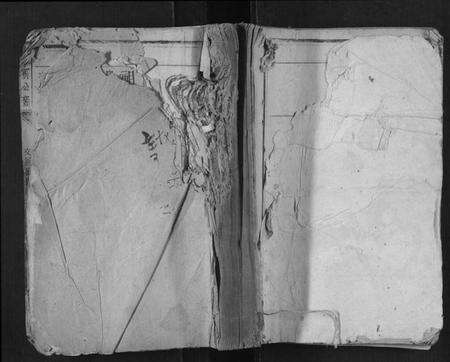 江西李氏族谱-李宝公裔族谱.pdf电子版缩略图