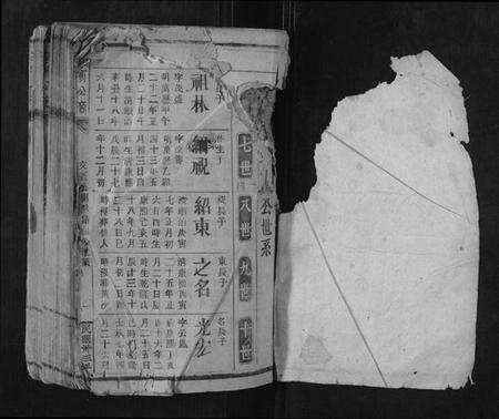 江西李氏族谱-李宝公裔族谱.pdf电子版预览图1