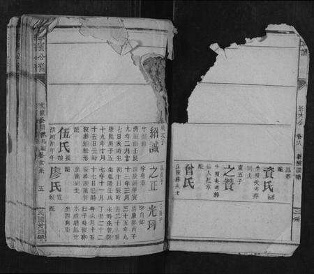 江西李氏族谱-李宝公裔族谱.pdf电子版预览图5