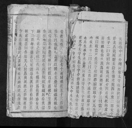 江西李氏族谱-李氏宗谱.pdf电子版预览图2