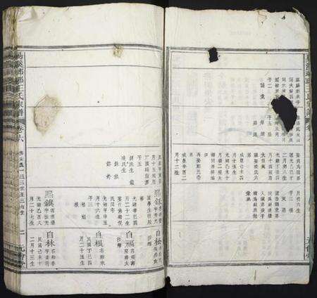 湖南王氏族谱-易溪琅琊王氏家谱.pdf电子版预览图2