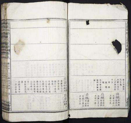 湖南王氏族谱-易溪琅琊王氏家谱.pdf电子版预览图3