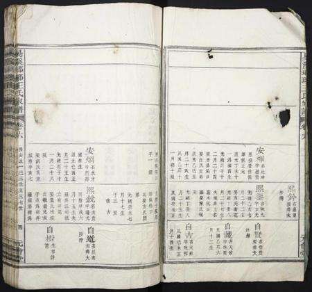 湖南王氏族谱-易溪琅琊王氏家谱.pdf电子版预览图4