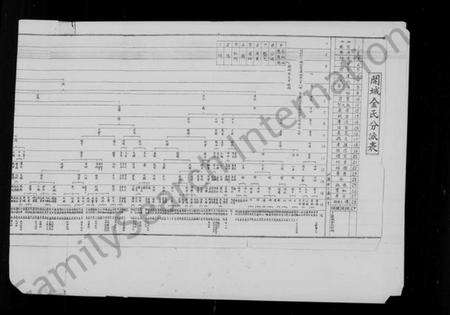中国金氏族谱-开城金氏分派表.pdf电子版缩略图