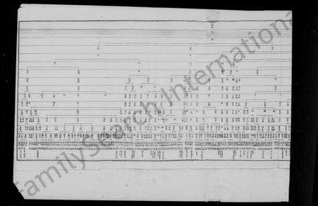 中国金氏族谱-开城金氏分派表.pdf电子版预览图2